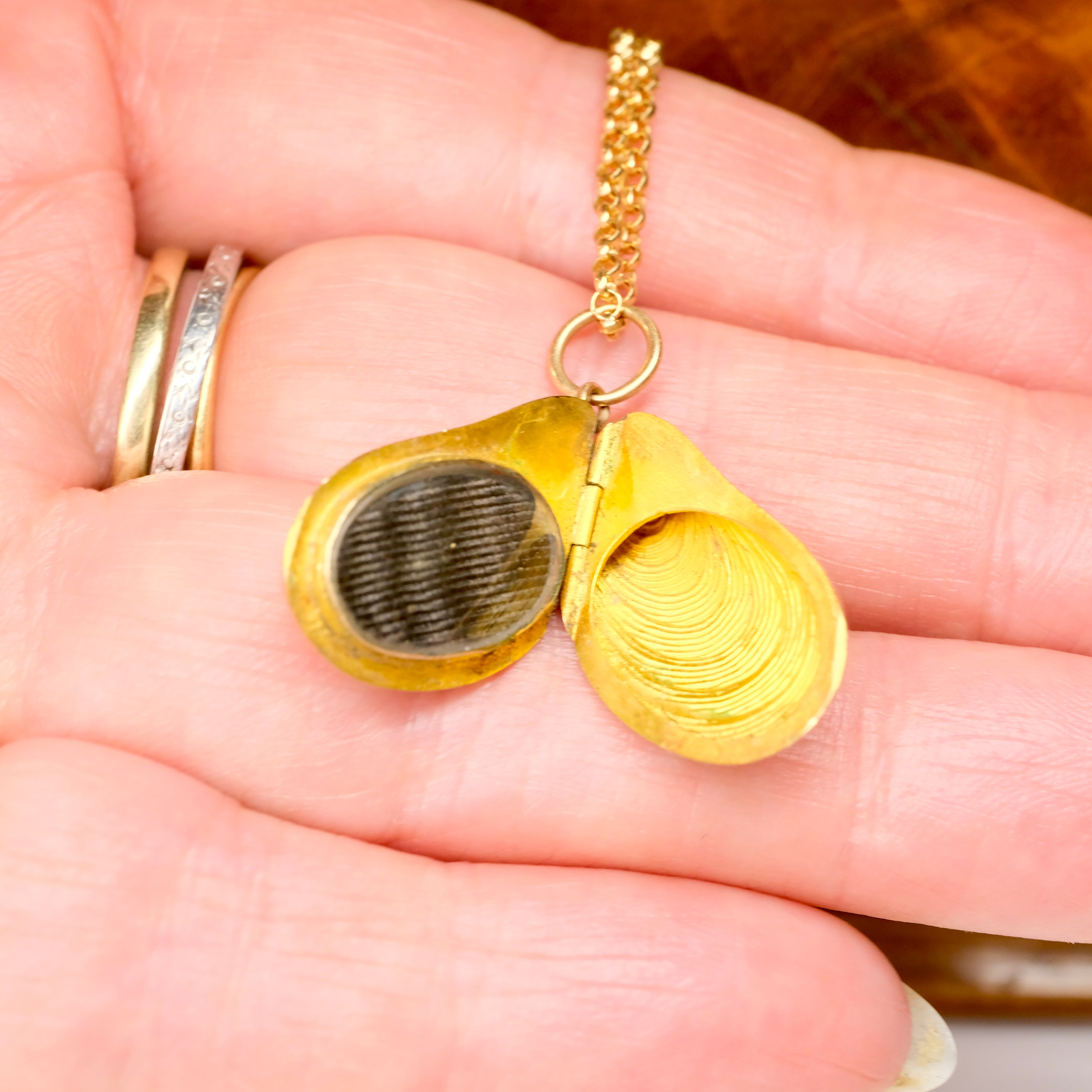 Very Rare, Victorian 15ct Gold, Mussel Shell Locket, Pendant