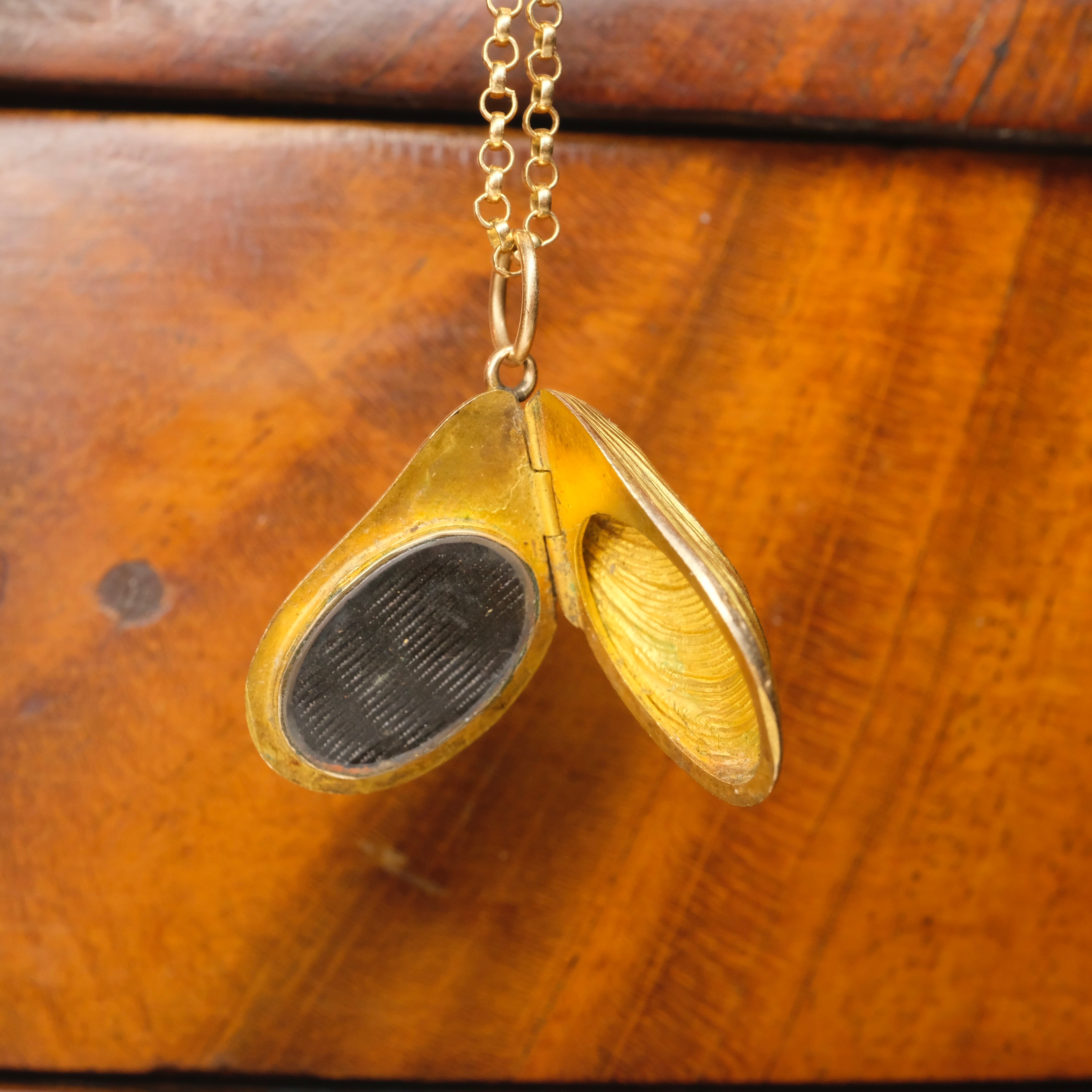 Very Rare, Victorian 15ct Gold, Mussel Shell Locket, Pendant