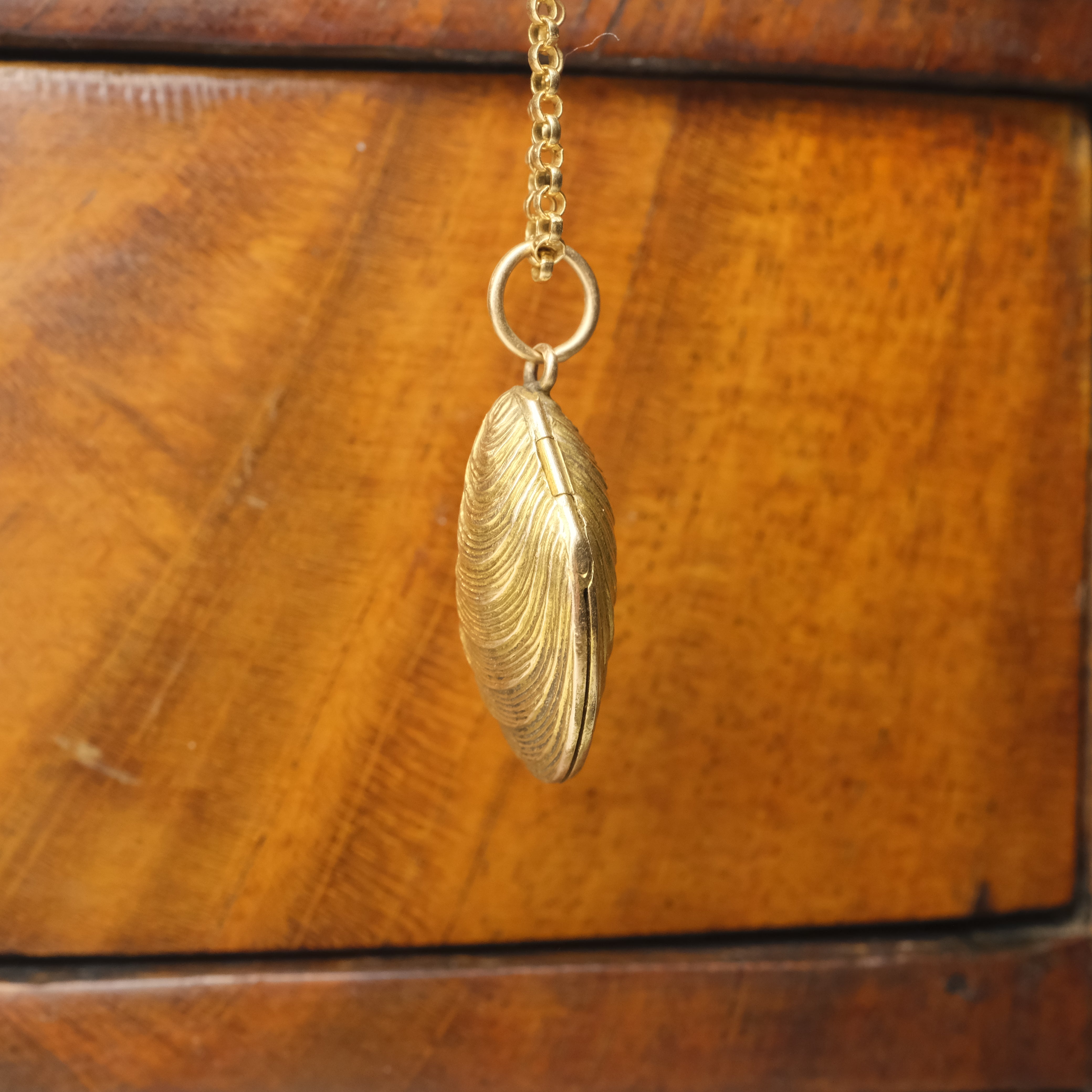 Very Rare, Victorian 15ct Gold, Mussel Shell Locket, Pendant