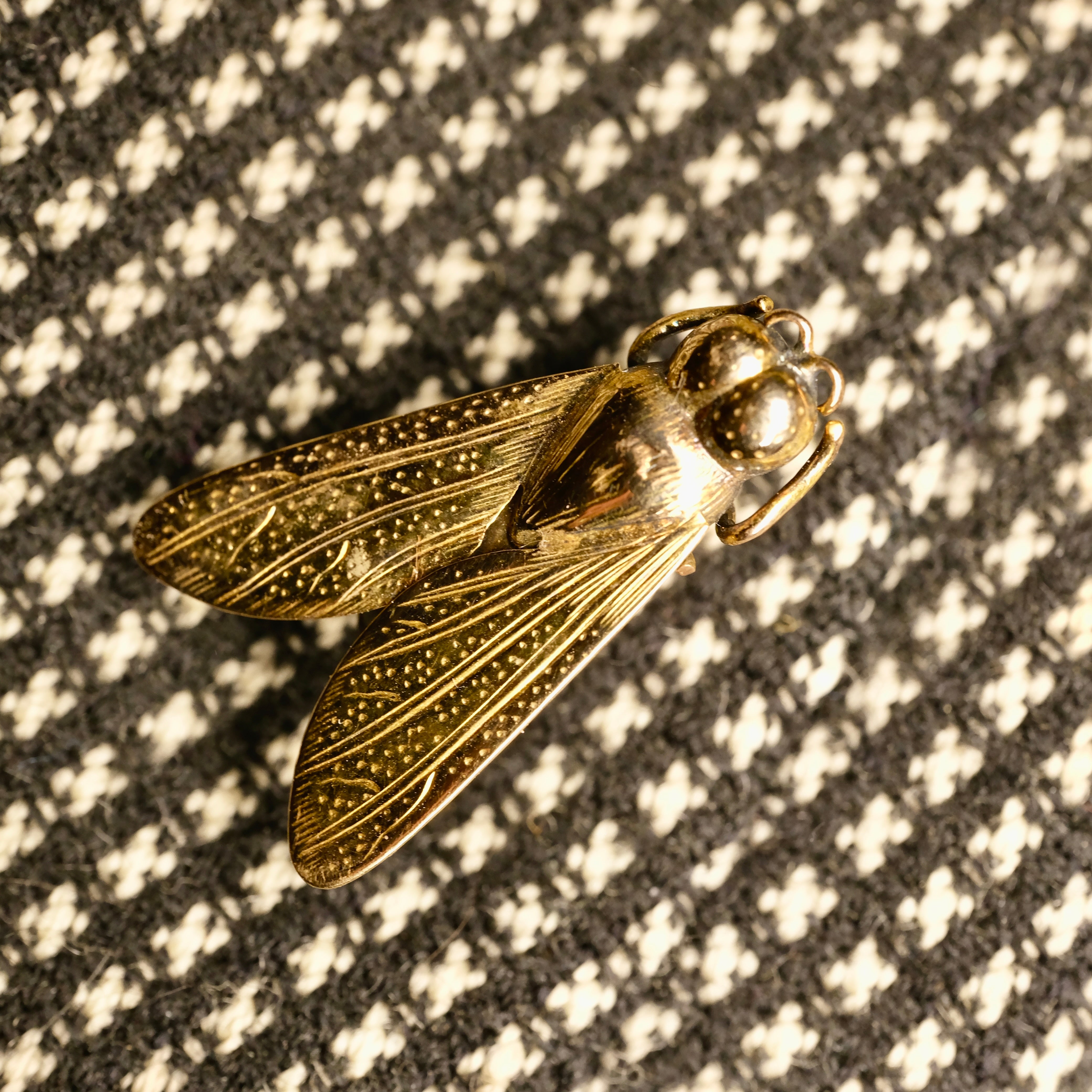 Victorian, 9ct Rose Gold, Fly Stick Pin, In Case