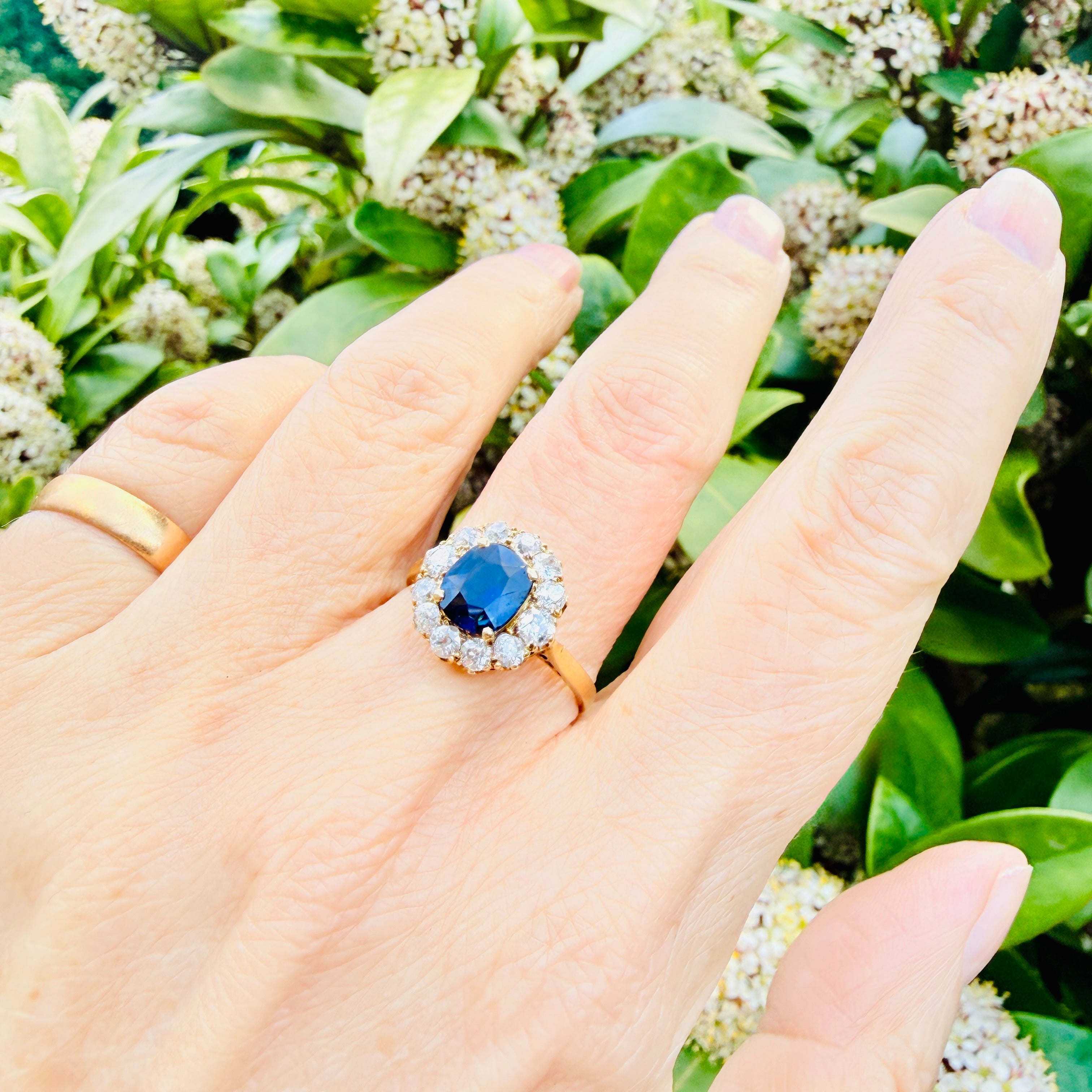 Antique, Victorian 18ct Gold, Unheated Sapphire & Old Cut Diamond Cluster Ring in Antique Heart Ring Box