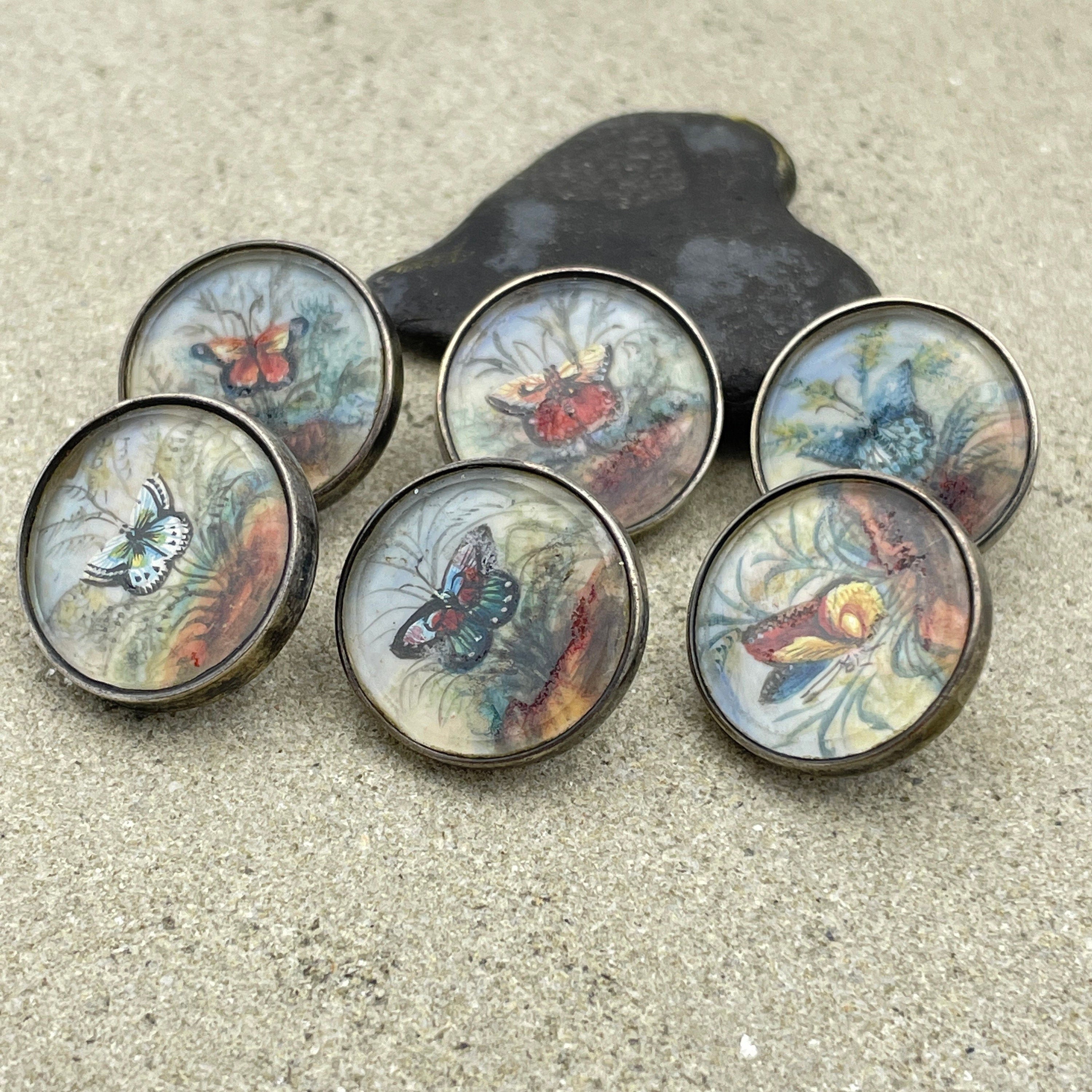Edwardian, set of 6, hand painted butterflies, sterling silver buttons