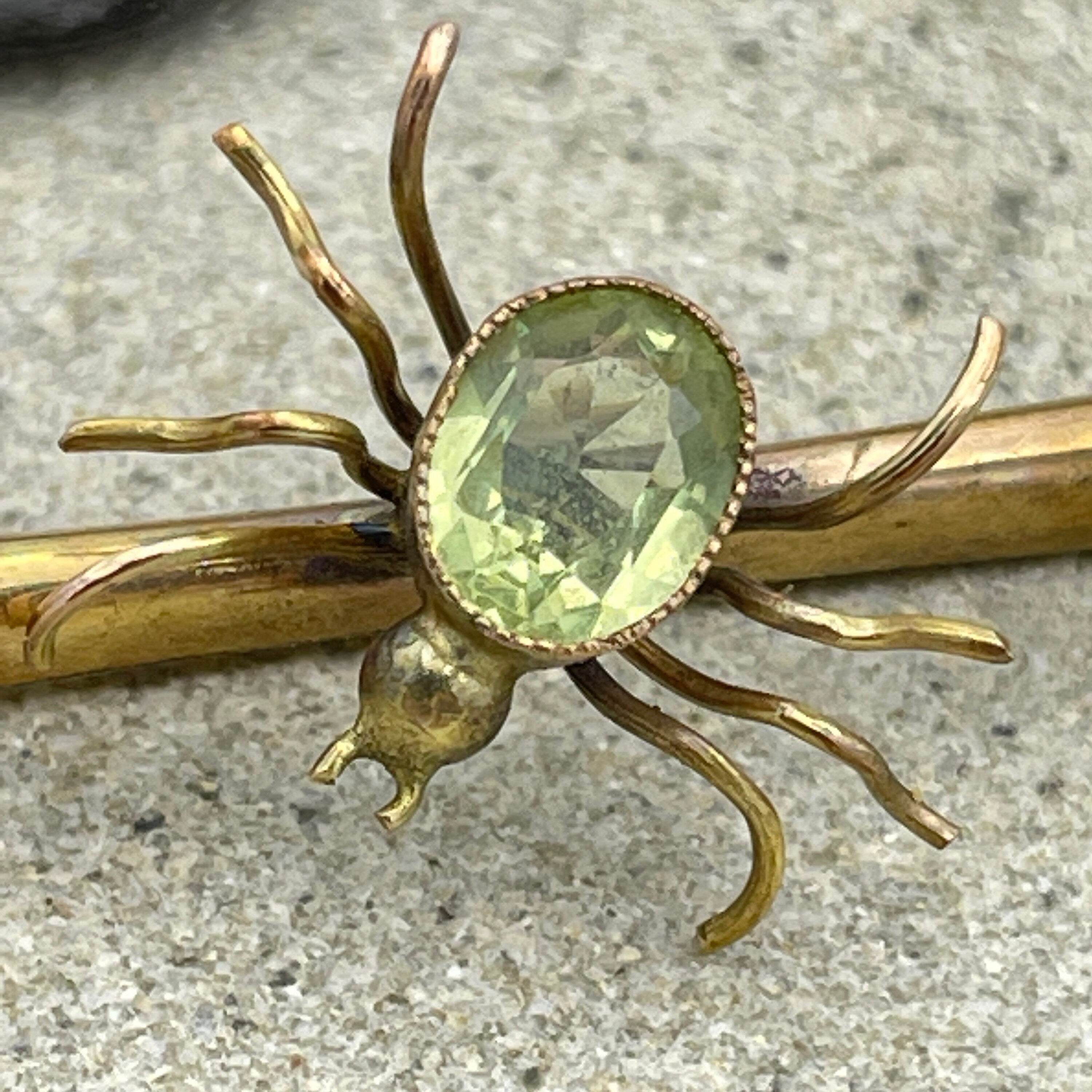 Antique spider discount brooch for sale